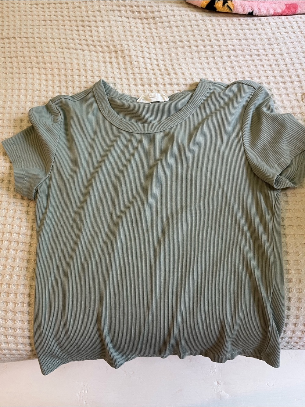 Ribbed Short Sleeve Tee in Sage Green